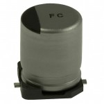 EEE-FC1E101P参考图片