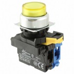 A22NL-RPM-TYA-G100-YE参考图片
